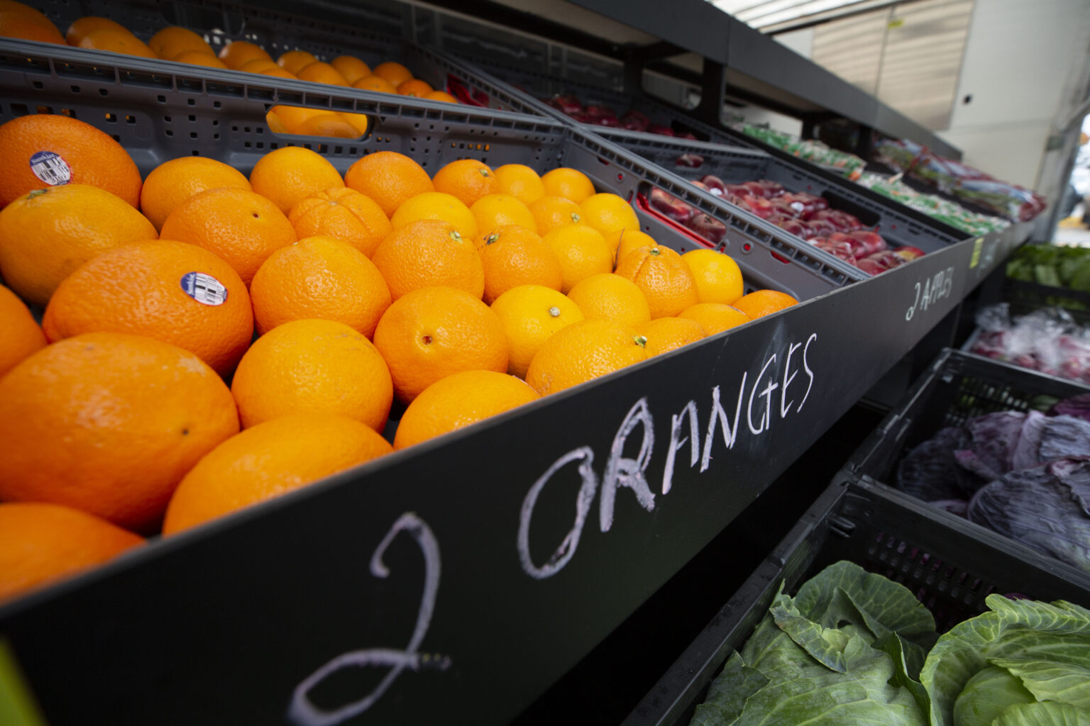 Open Doors Food Bank A Beacon of Hope in the Community.